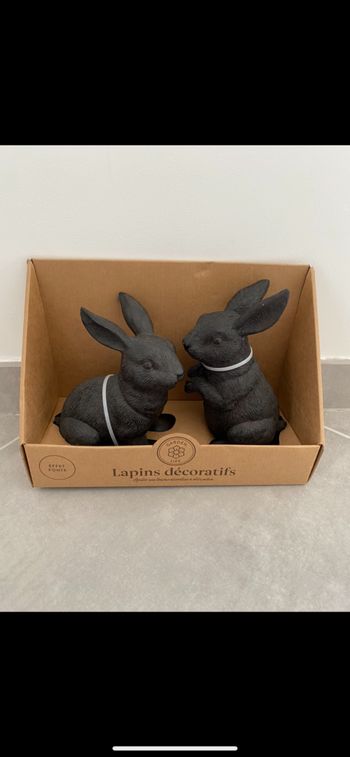 Duo de lapins
