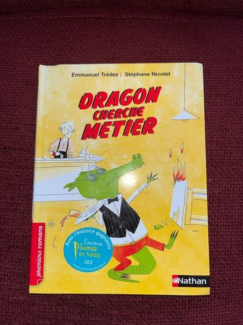 Livre dragon, cherche métier