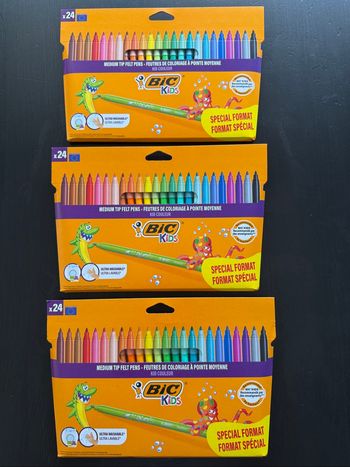 Lot de 3 packs feutres de coloriage(24feutres)