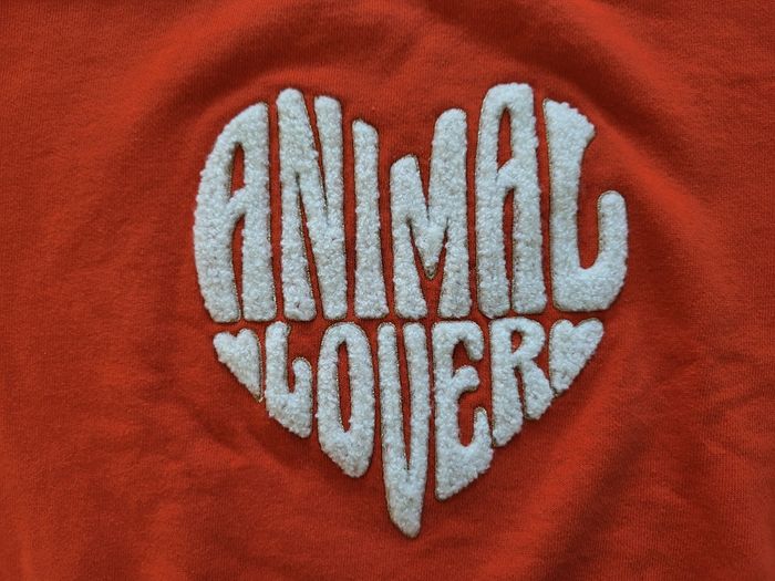 Pulls - photo numéro 2