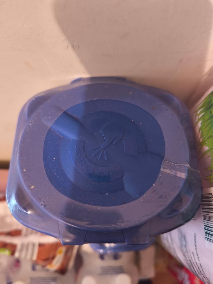 Gallia - photo numéro 3