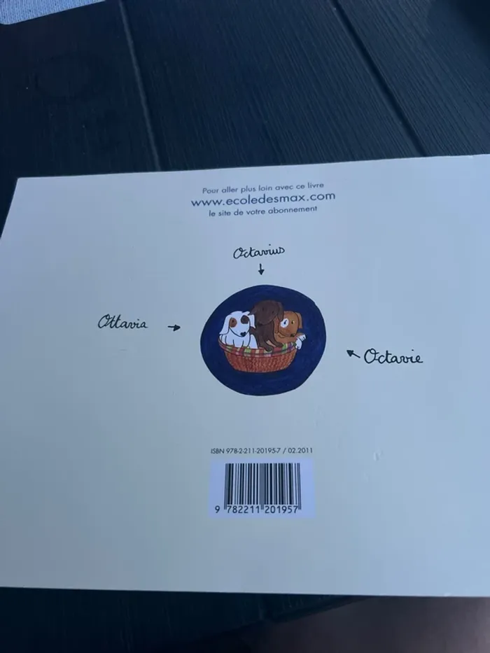 L’ouragan - photo numéro 3