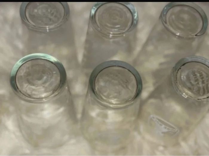 Lot verre tigre bock