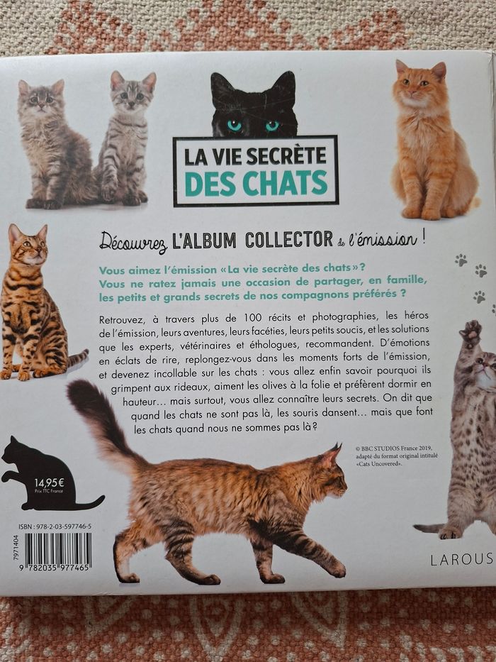 La vie secrète des chats - photo numéro 2