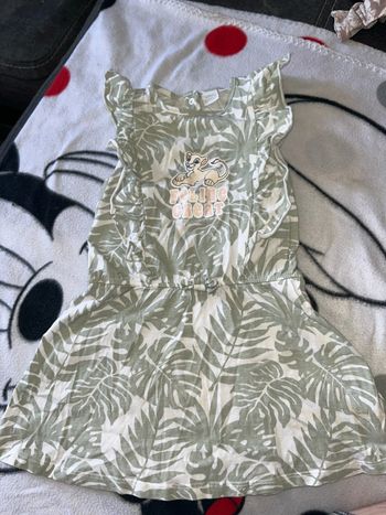Robe roi lion
