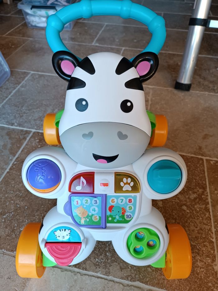 Zèbre - photo numéro 2