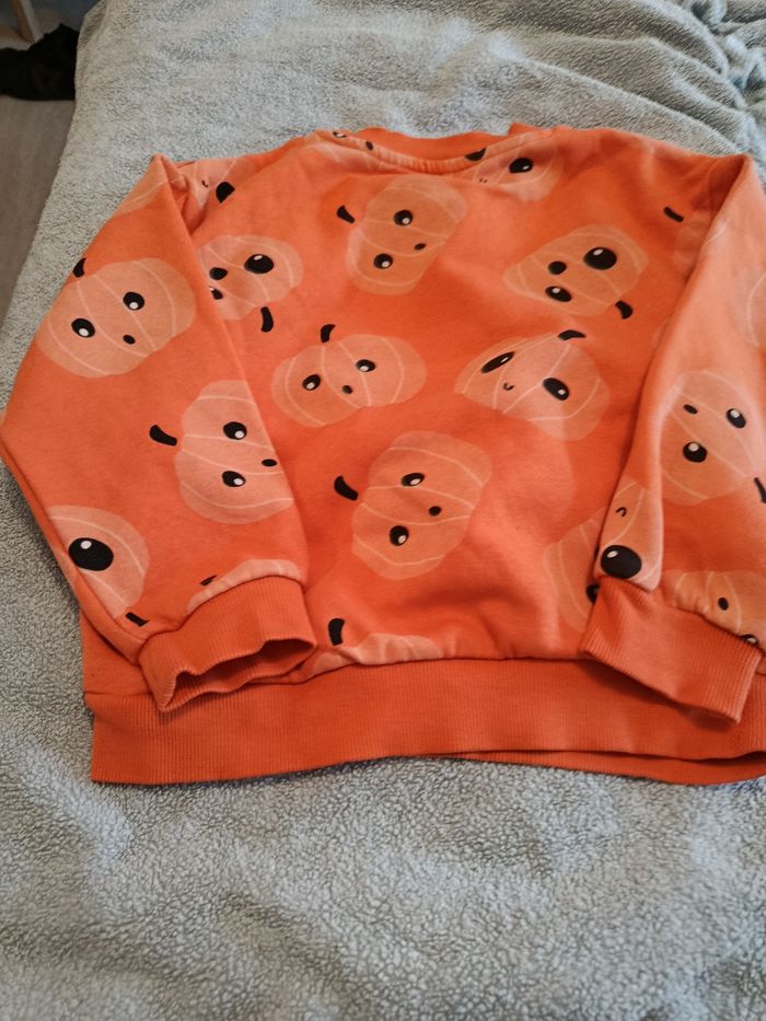 Pull citrouille - photo numéro 2