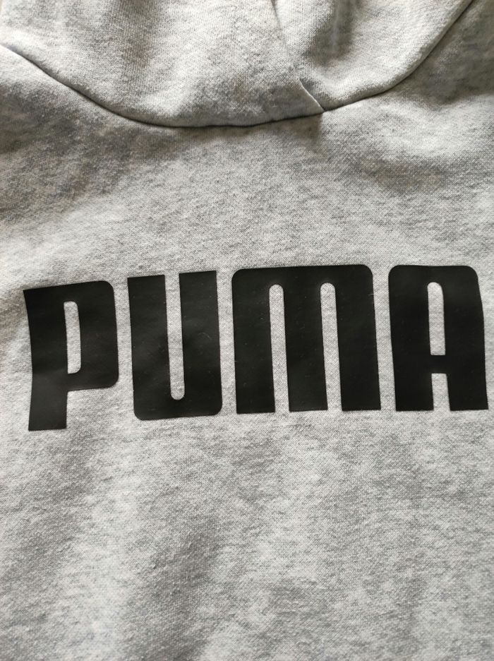 Pull puma - photo numéro 4