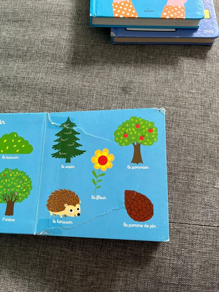 Livre mes 100 premiers mots - photo numéro 3