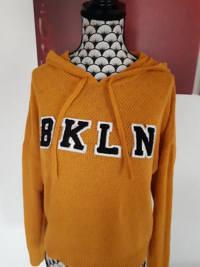 Joli pull a capuche taille M - photo numéro 2