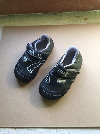 Basket Puma