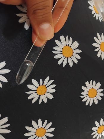 Ongle
