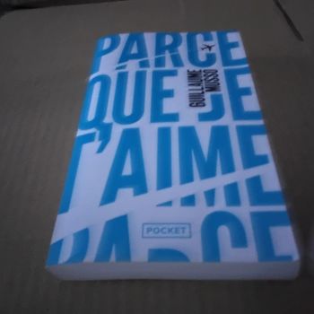 Parce que je t’ aime Guillaume Musso