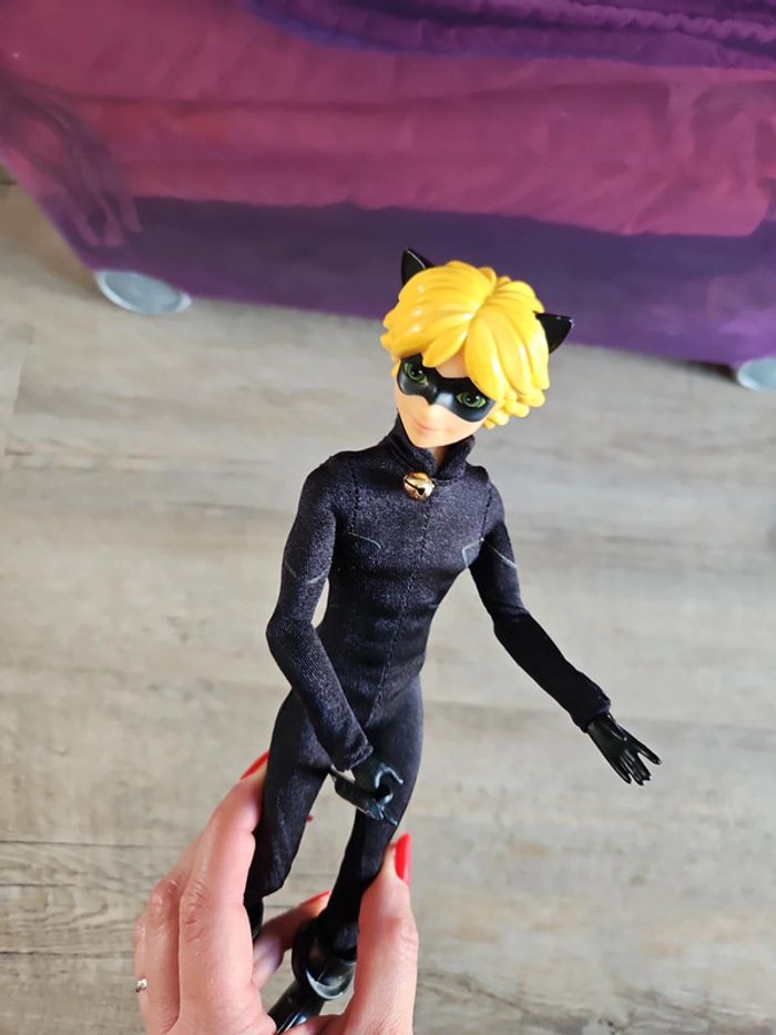 Chat noir - photo numéro 6