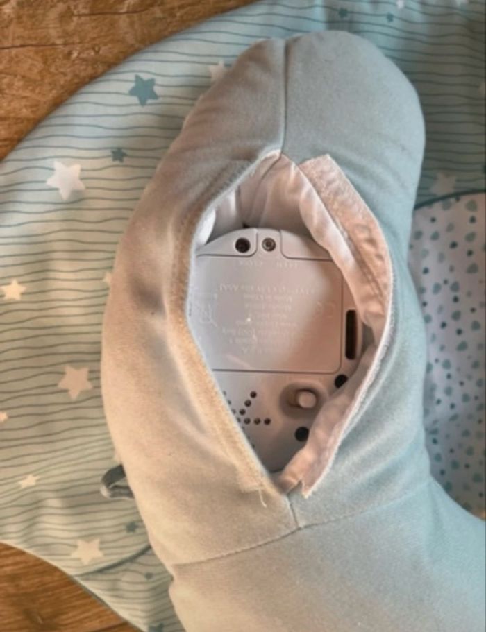 Mon premier nid - photo numéro 4