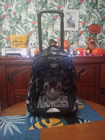 🎒 Sac à roulettes Airness