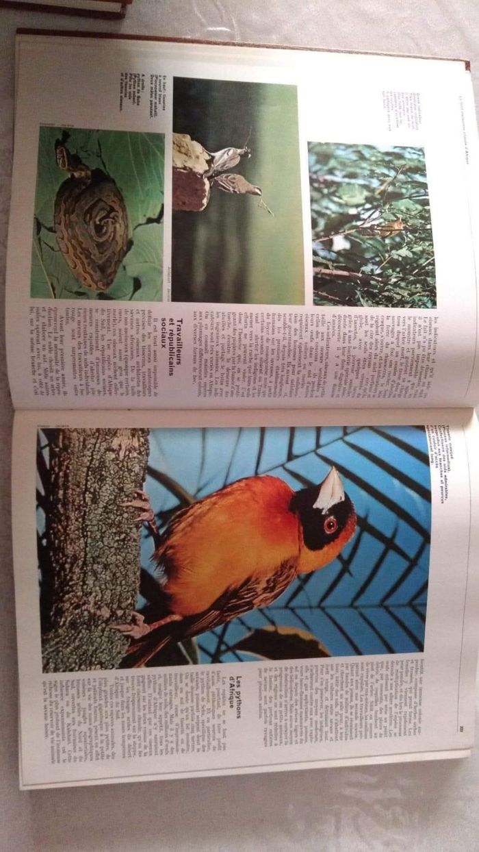 Encyclopédie hachette n°2 - photo numéro 4