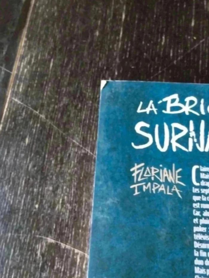 La Brigade Du Surnaturel / Tome 2 - photo numéro 4