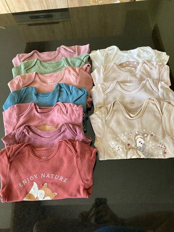 Lot 11 bodies