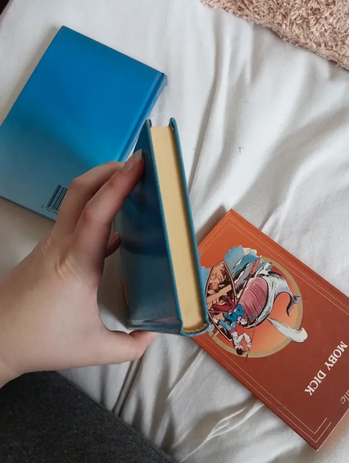 Lot de 3 livres - photo numéro 8