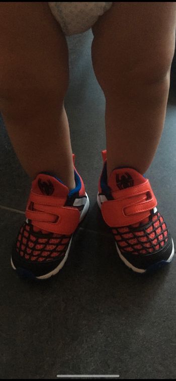 Basket Adidas spiderman