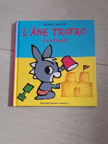 L'âne Trotro à la plage