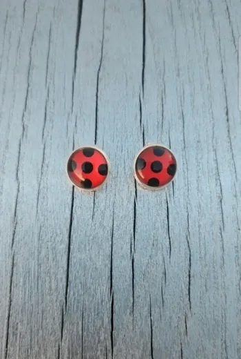 Boucles d'oreilles (piercing)