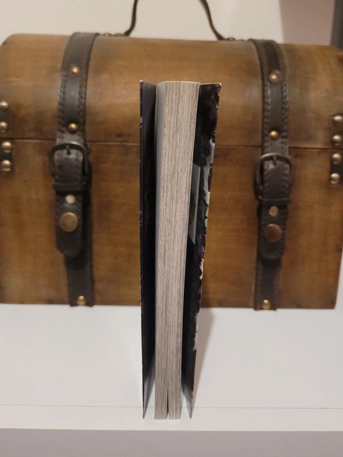 Manga Dr Stone tome 4 édition collector brillant premier tirage - photo numéro 4