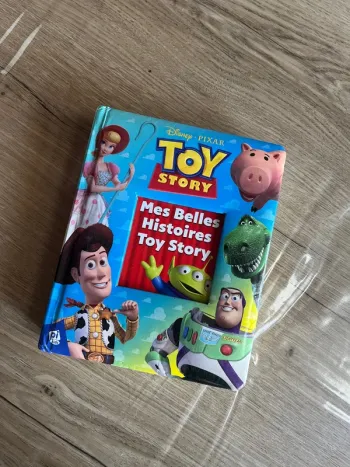 Livre épais Toy Story