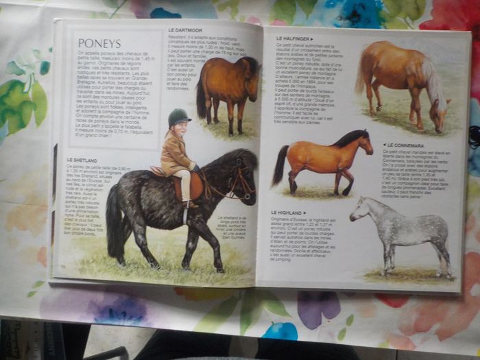 Les chevaux L'imagerie animale Ed. Fleurus Enfants - photo numéro 8