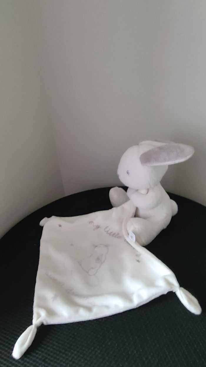 doudou lapin - photo numéro 6