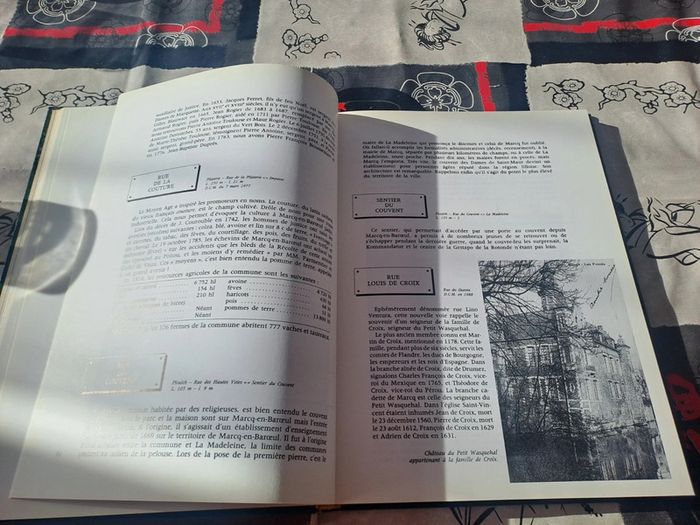 Lot 2 livres Marcq-en-Baroeul - photo numéro 2