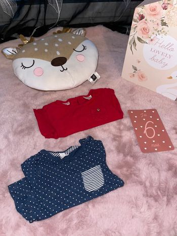 Lot de 2 teeshirt fin 6 mois Zara
