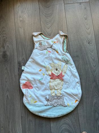Gigoteuse disney winnie l’ourson