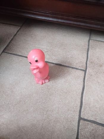 Canard pampers pouet pouet