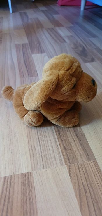 Peluche chien
