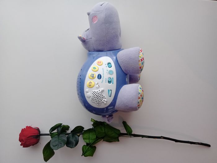 Hippotame Veilleuse VTECH