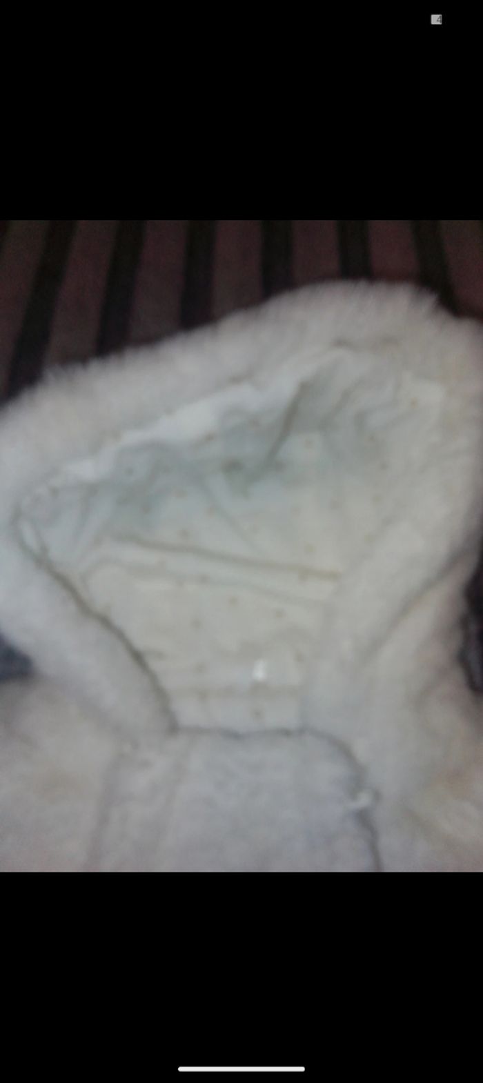 Combinaison mixte 23 mois - photo numéro 5