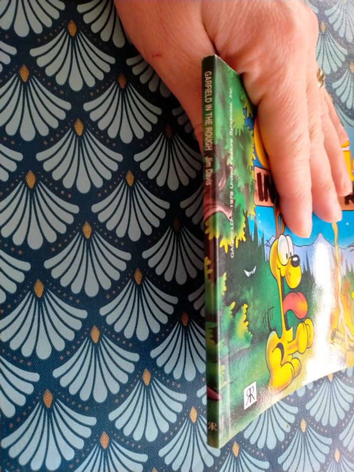 Garfield in the rough - photo numéro 3