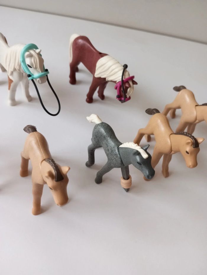 Playmobil lot poneys - photo numéro 3