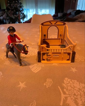 Lot Playmobil Cheval trackener et sa cavalière n°5110