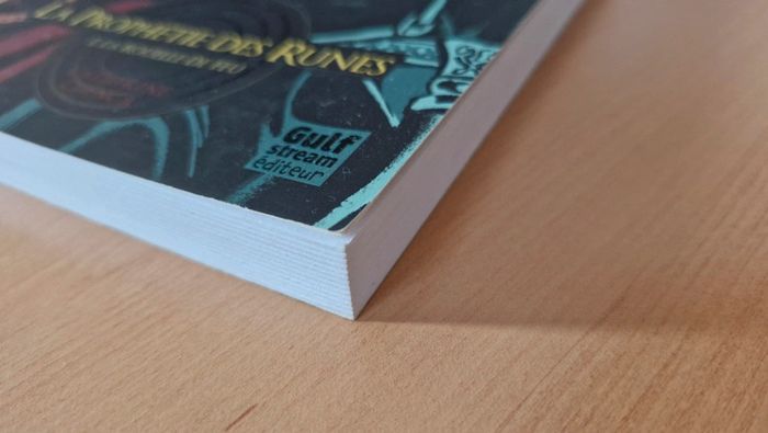 La prophétie des runes de Catherine Cuenca - photo numéro 4