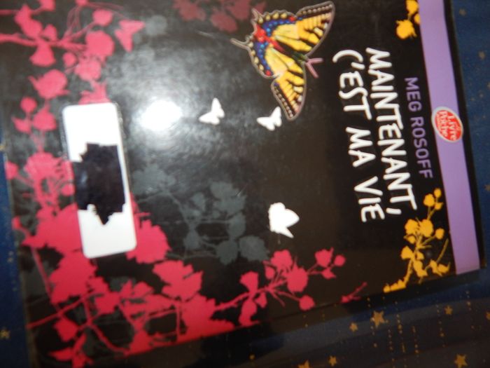 Maintenant, c'et ma vie