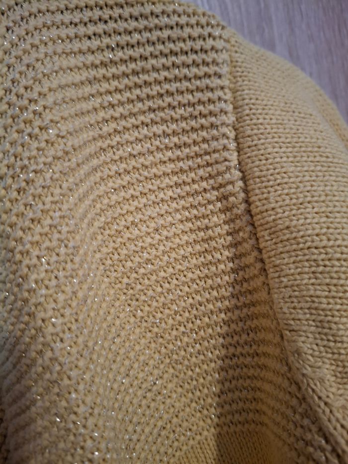 Gilet jaune - photo numéro 3