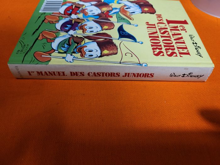 1er Manuel Des Castors Juniors - photo numéro 2