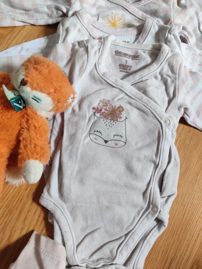 Lot de 5 bodies 1 mois - photo numéro 3