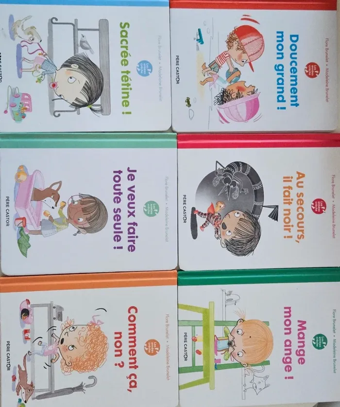 6 livres brunelet neufs