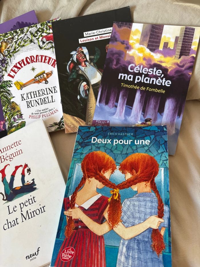 Livres littérature 6eme 5 eme - photo numéro 3