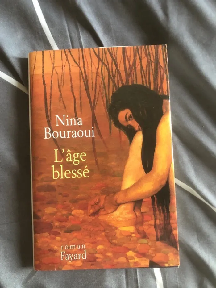 Roman l’âge blessé 📕 - photo numéro 2