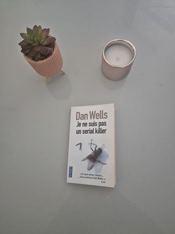 Roman "je ne suis pas un serial killer"